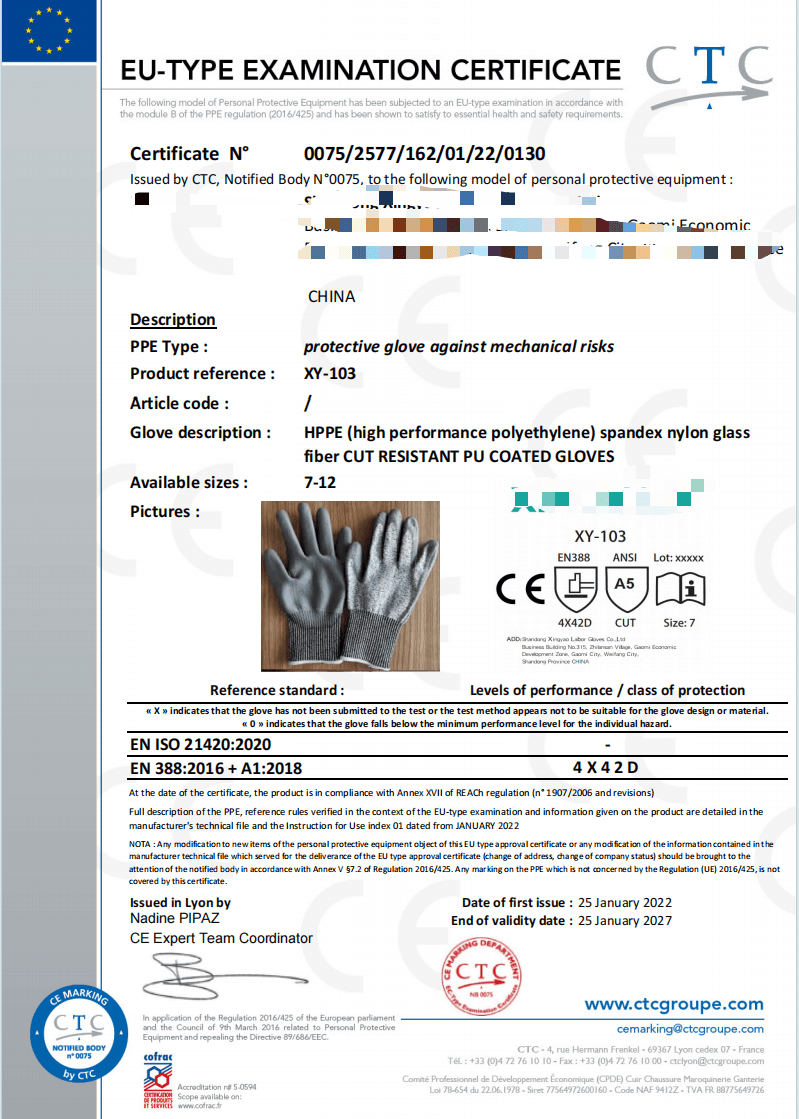 Screenshot of a CTC EU-type examination document for protective gloves.