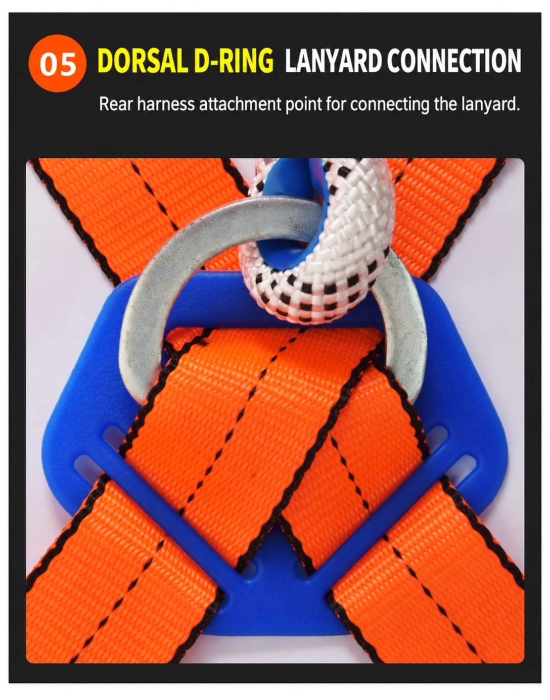 Dorsal D-ring and lanyard connection detail